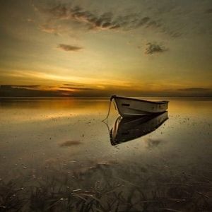 Meet your Posher, Pineda23